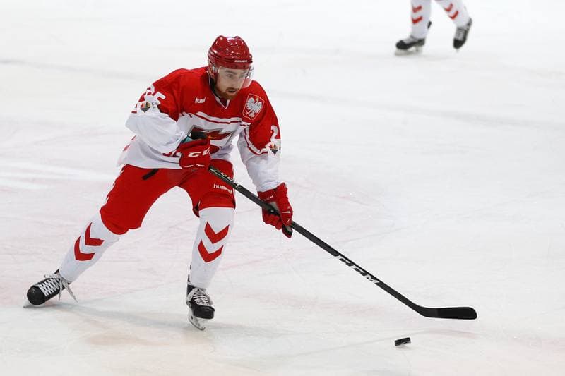 Ice Hockey. Euro Ice Hockey Challenge. Poland - Slovenia. 09.02.2017