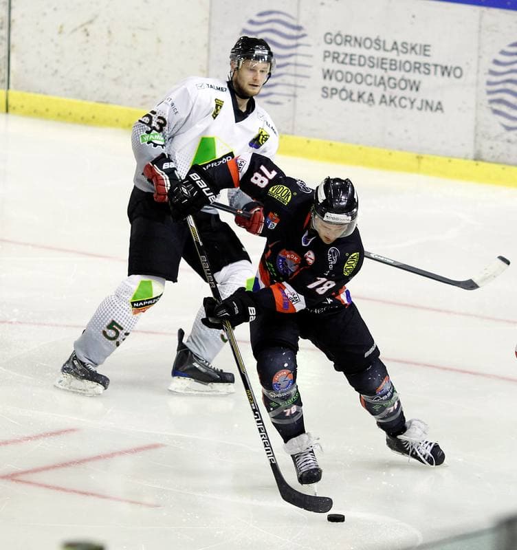 Ice Hockey. Polska Hokej Liga. Naprzod Janow - Ciarko KH Sanok. 18.01.2015