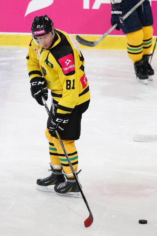 Ice Hockey. Charity Match. Tauron KH GKS Katowice - Byki Tauron. 01.04.2017
