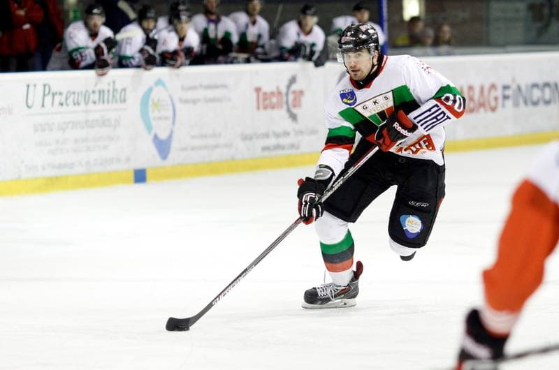 Ice Hockey. Polska Hokej Liga. GKS Tychy - Comarch Cracovia Krakow. 19.01.2014