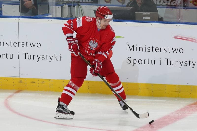 Ice Hockey. World Championship Division 1A. Poland - Japan. 29.04.2016