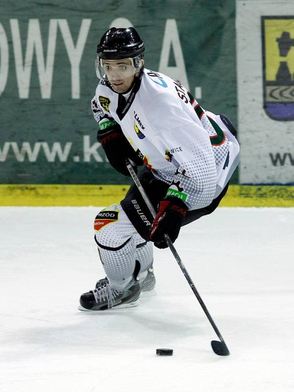 Ice Hockey. Polska Hokej Liga. Naprzod Janow - Ciarko KH Sanok. 18.01.2015
