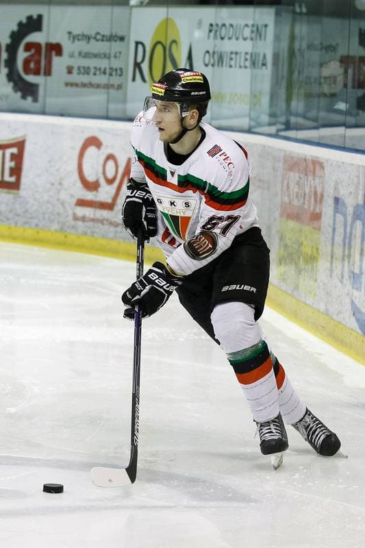 Ice Hockey. Polska Hokej Liga. GKS Tychy - Ciarko STS Sanok. 15.01.2016