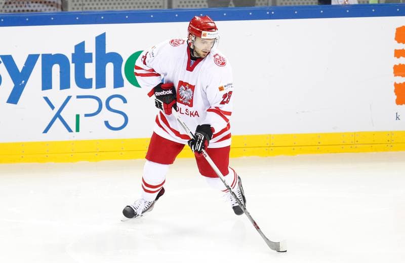 Ice Hockey. IIHF World Championship Division 1A. Poland - Japan. 20.04.2015