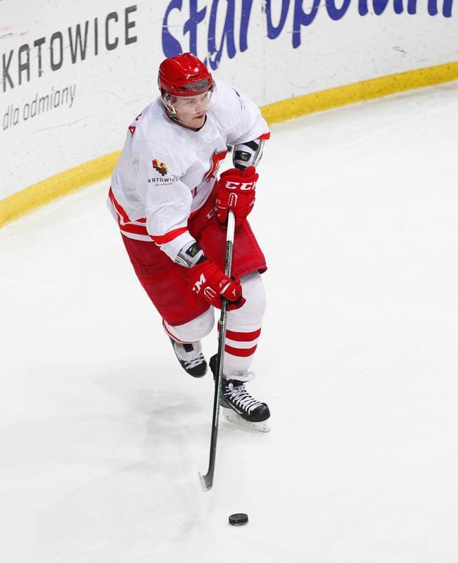 Ice Hockey. Poland national team. Training. 13.04.2016