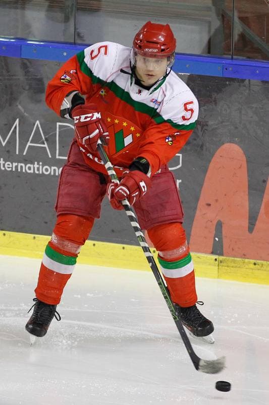 Ice Hockey. I Liga. Naprzod Janow - Zaglebie Sosnowiec. 22.01.2017