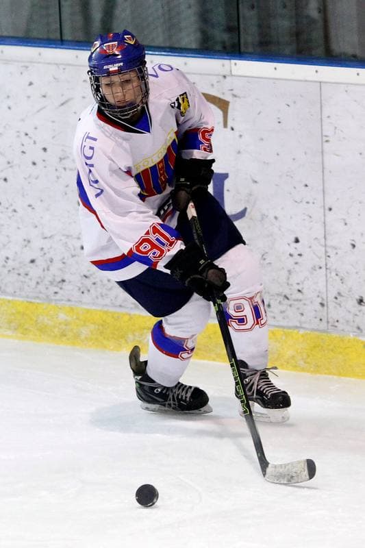 Ice Hockey. PLHK. Polonia Bytom - Atomowki Tychy. 27.01.2017