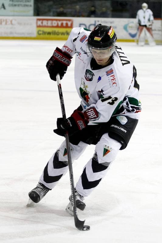 Ice Hockey. Polska Hokej Liga. GKS Tychy - Tauron GKS Katowice. 22.02.2017