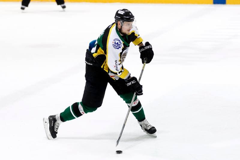 Ice Hockey. Polska Hokej Liga. JKH GKS Jastrzebie - Tempish Polonia Bytom. 05.02.2017