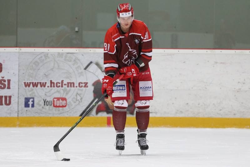 Ice Hockey. WSM Liga. HC Frydek-Mistek - HC Benatky nad Jizerou. 20.02.2017