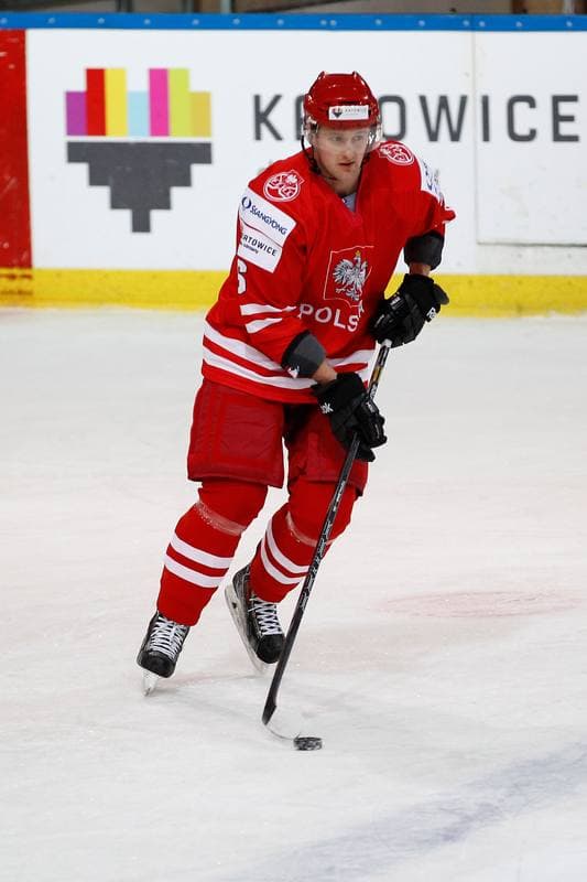 Ice Hockey. EIHC. Kazakhstan - France. 17.12.2015