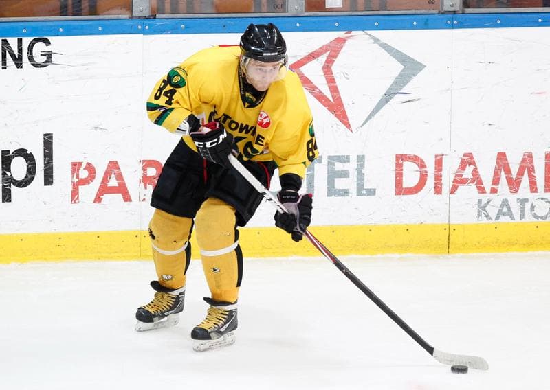Ice Hockey. Polska Hokej Liga. HC GKS Katowice - Aksam Unia Oswiecim. 10.01.2014