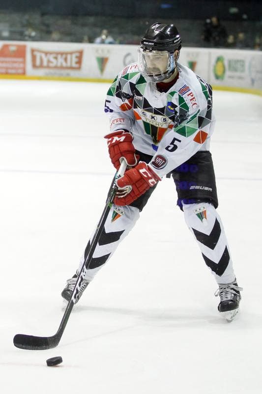 Ice Hockey. Polska Hokej Liga. GKS Tychy - Tauron KH GKS Katowice. 29.03.2018