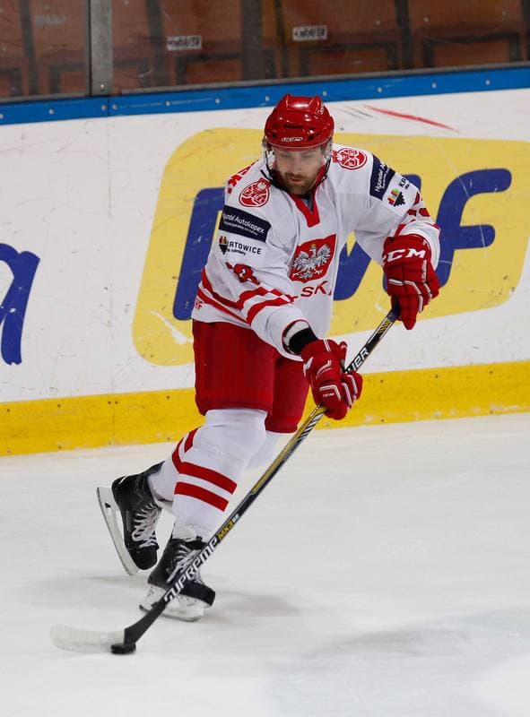 Ice Hockey. International Friendly Match. Poland - Lithuania. 14.04.2016