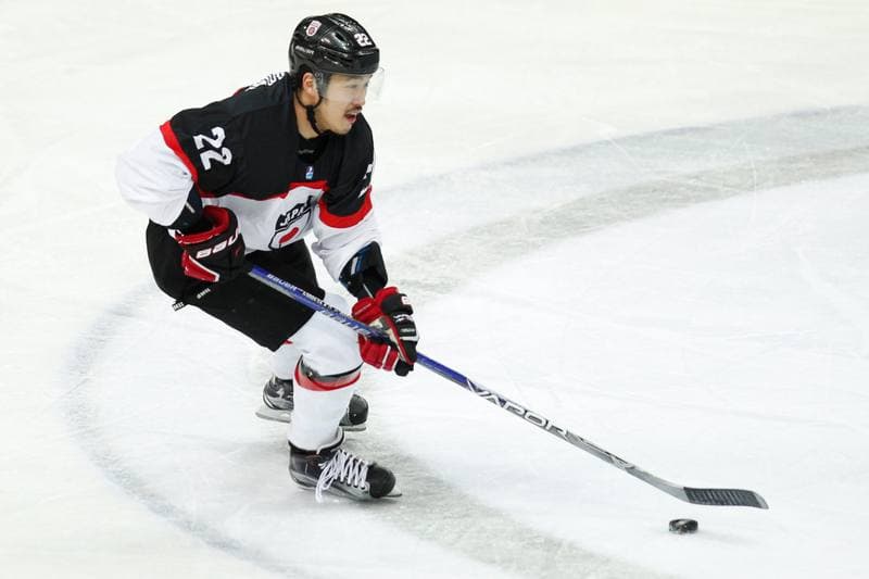 Ice Hockey. World Championship Division 1A. Korea - Japan. 26.04.2016