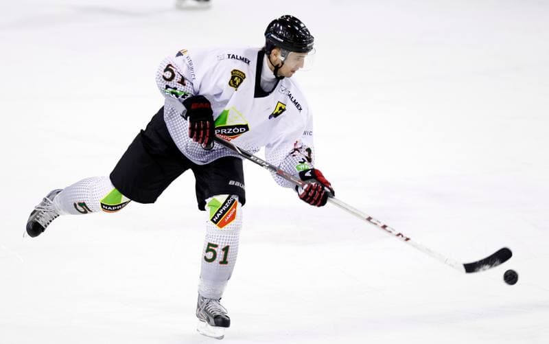 Ice Hockey. Polska Hokej Liga. Naprzod Janow - GKS Tychy. 19.10.2014
