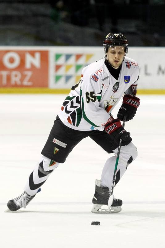 Ice Hockey. Tauron Hokej Liga. GKS Tychy - Tauron GKS Katowice. 21.02.2017