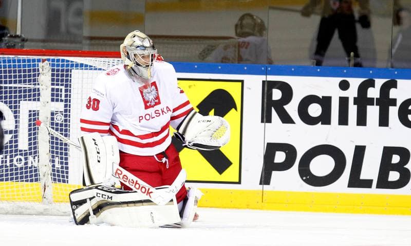 Ice Hockey. IIHF World Championship Division 1A. Poland - Japan. 20.04.2015