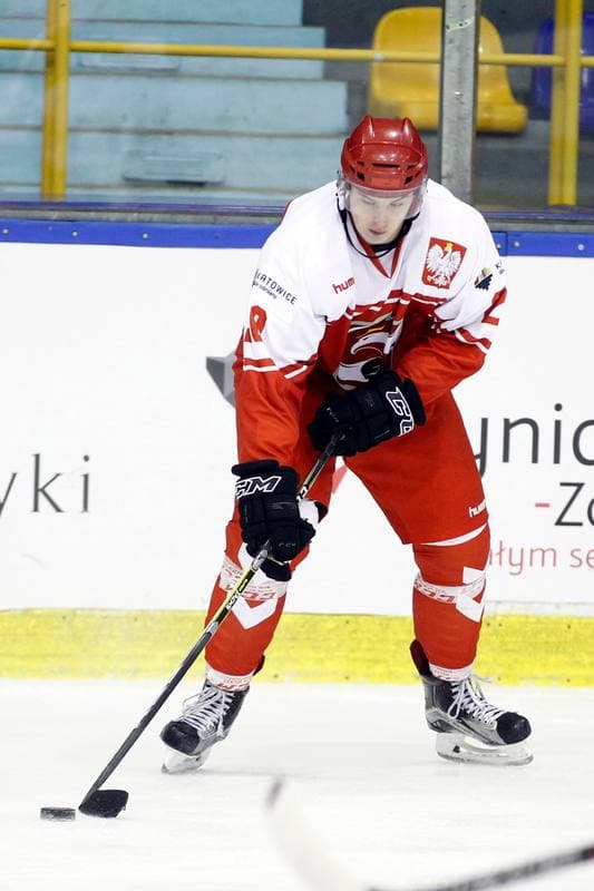 Ice Hockey. International Friendly Match. Poland - Slovakia B. 07.04.2017