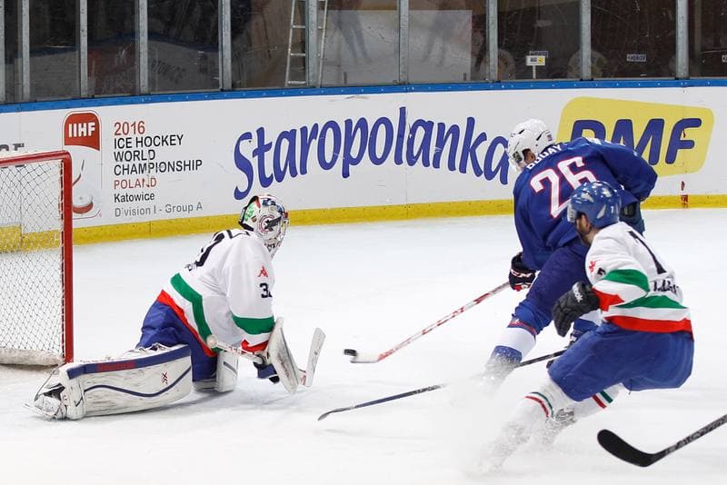 Ice Hockey. EIHC. France - Italy. 18.12.2015