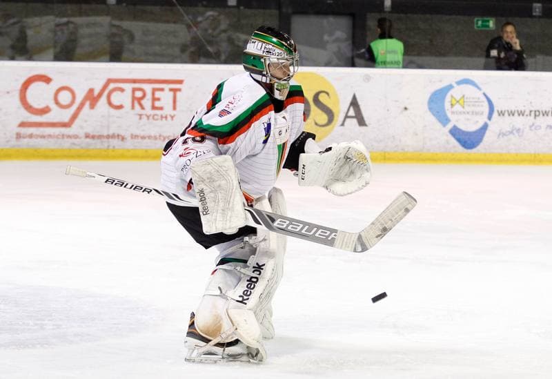Ice Hockey. Polska Hokej Liga. GKS Tychy - Tatryski Podhale Nowy Targ. 29.02.2016
