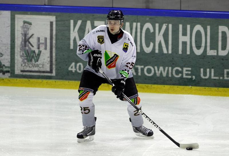 Ice Hockey. Polska Hokej Liga. Naprzod Janow - HC GKS Katowice. 06.01.2015