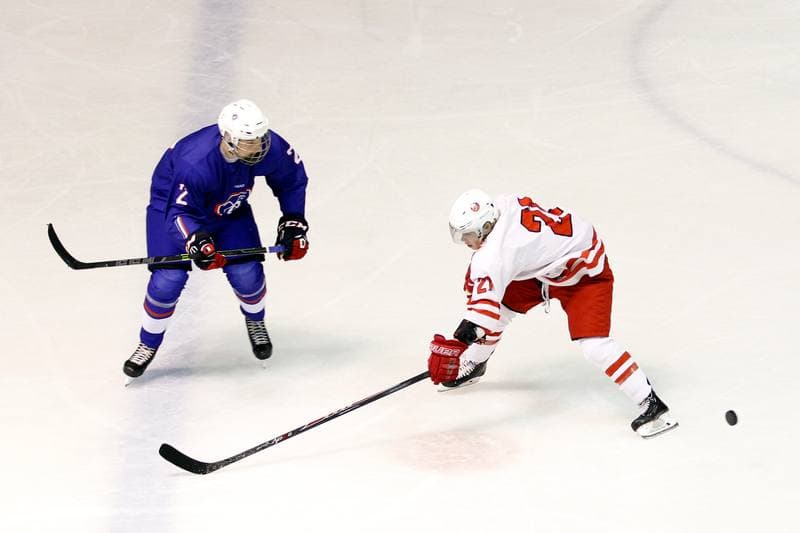 Ice Hockey. Friendly Match. Poland U20 - France U20. 06.08.2016