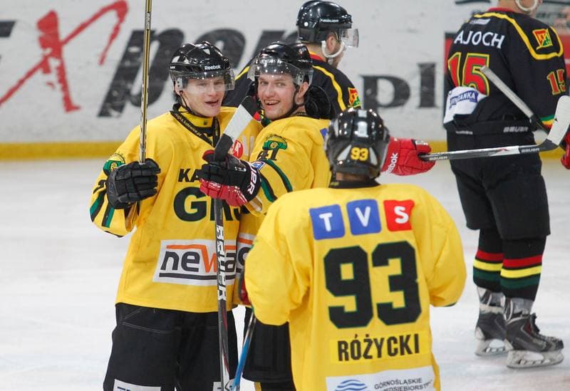 Ice Hockey. Polska Hokej Liga. HC GKS Katowice - KTH Krynica. 21.02.2014
