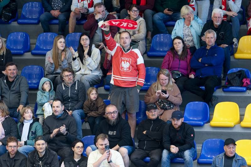 Ice Hockey. Friendly Match. Poland - Hungary. 13.04.2024