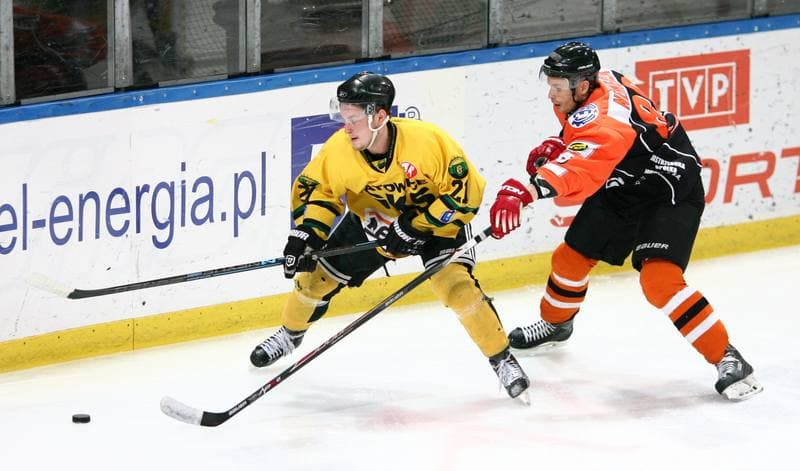 Ice Hockey. Polska Hokej Liga. HC GKS Katowice - JKH GKS Jastrzebie. 16.01.2015
