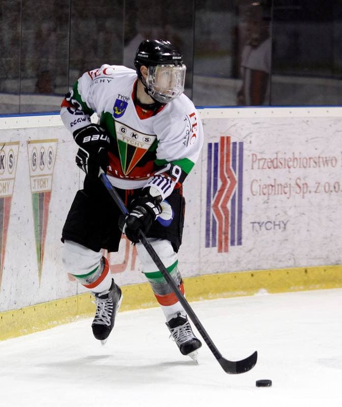 Ice Hockey. Polska Hokej Liga. GKS Tychy - Comarch Cracovia Krakow. 19.01.2014