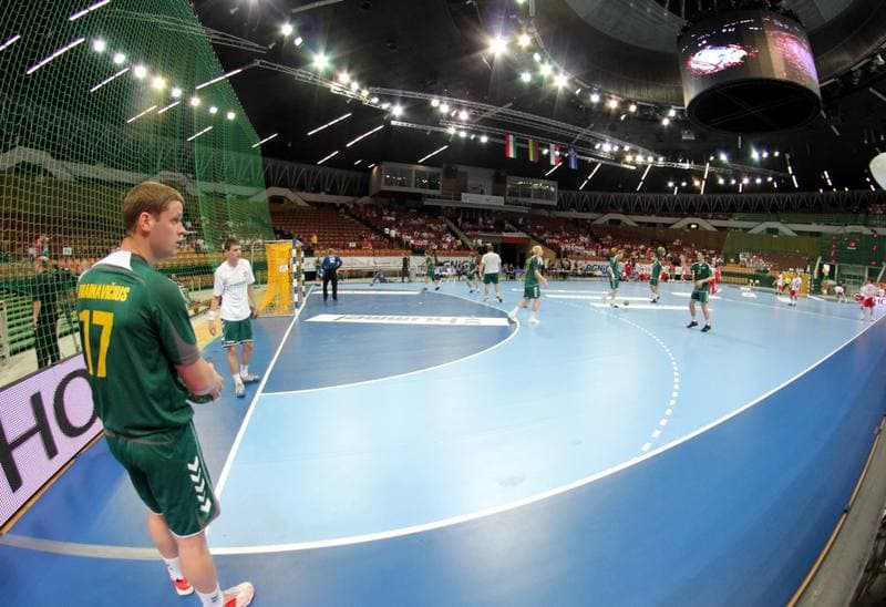 Handball. World Championship Qualifiers. Poland - Lithuania. 17.06.2012