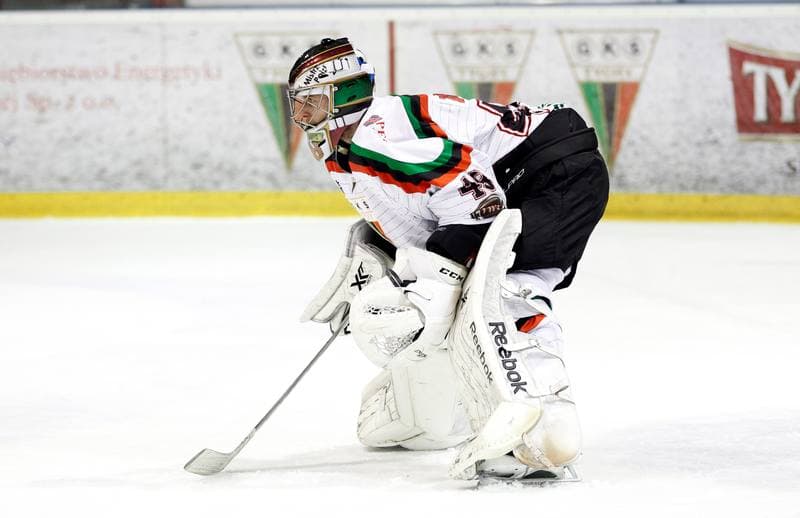 Ice Hockey. Polish Hockey League. GKS Tychy - Comarch Cracovia. 24.03.2016