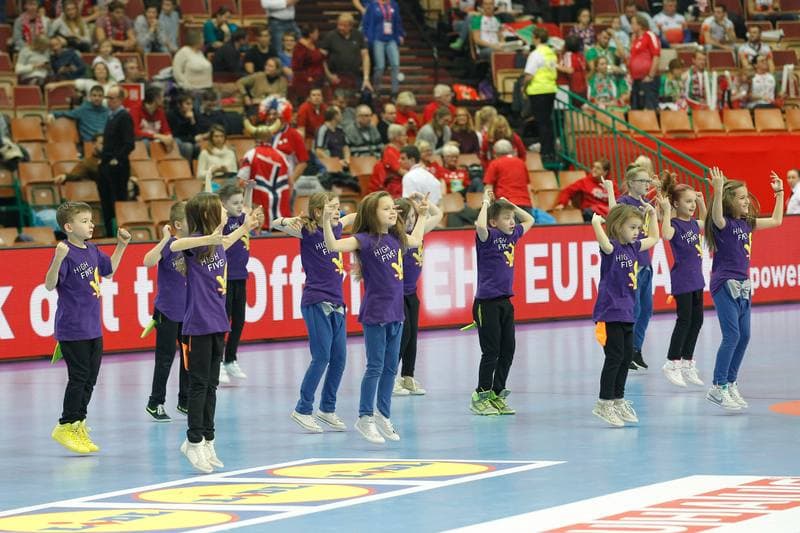 Handball. EHF Euro 2016. Belarus - Norway. 19.01.2016
