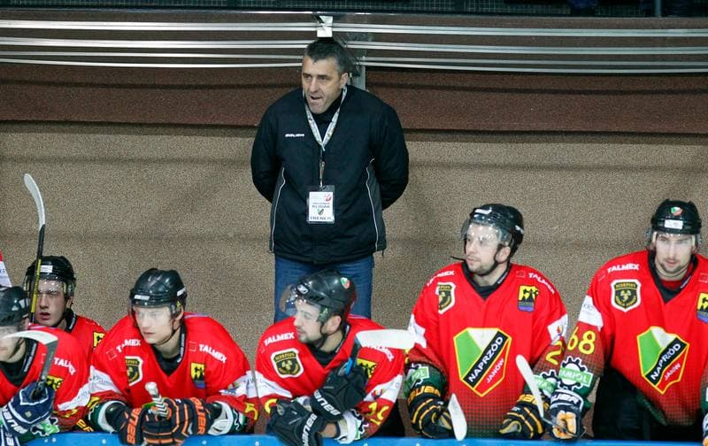 Ice Hockey. Polska Hokej Liga. HC GKS Katowice - Naprzod Janow. 10.02.2015