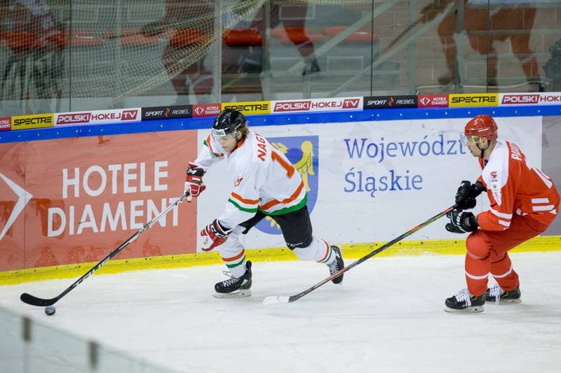 Ice Hockey. International Friendly. Poland - Hungary. 18.12.2020