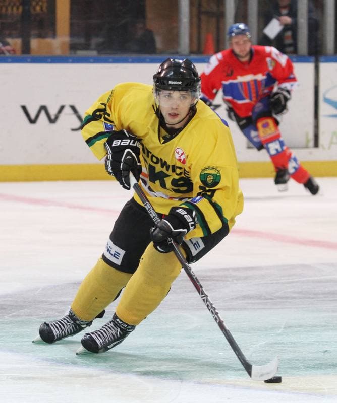 Ice Hockey. Tauron Hokej Liga. HC GKS Katowice - Polonia Bytom. 02.01.2015