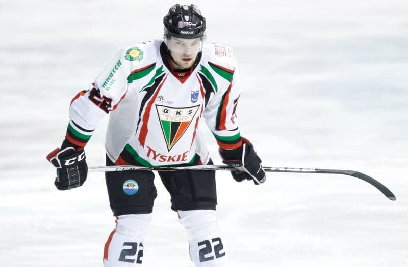 Ice Hockey. Polska Hokej Liga. GKS Tychy - Comarch Cracovia Krakow. 19.01.2014