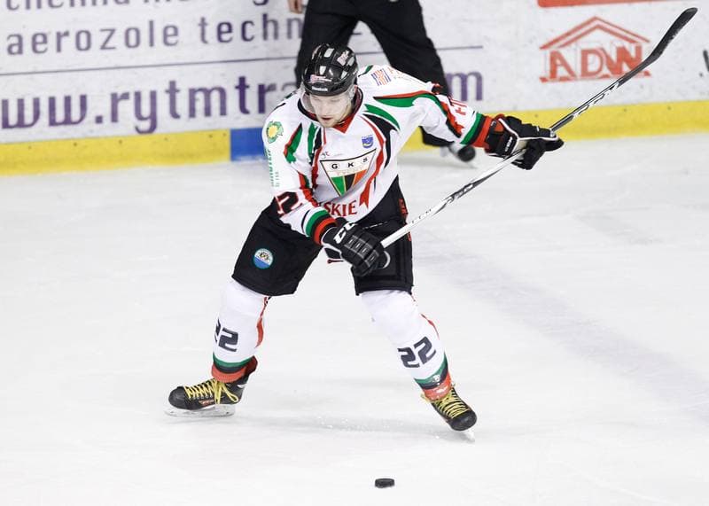 Ice Hockey. Polska Hokej Liga. GKS Tychy - Comarch Cracovia Krakow. 19.01.2014