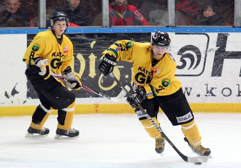 Ice Hockey. Polska Hokej Liga. HC GKS Katowice - GKS Tychy. 11.01.2015