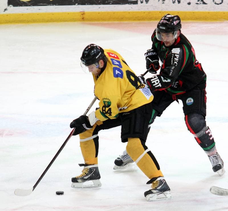 Ice Hockey. Polska Hokej Liga. HC GKS Katowice - GKS Tychy. 11.01.2015