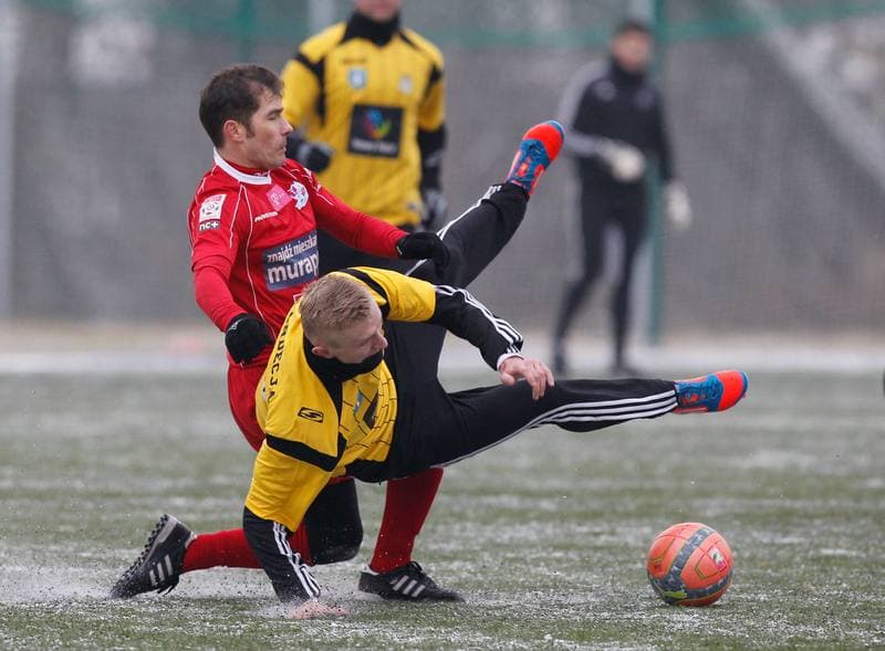 Football. Friendly Match. Podbeskidzie Bielsko Biala - Sandecja Nowy Sacz. 23.01.2014