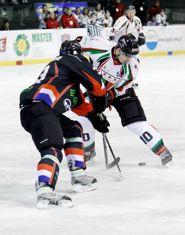 Ice Hockey. Polska Hokej Liga. GKS Tychy - Ciarko KH Sanok. 23.01.2015