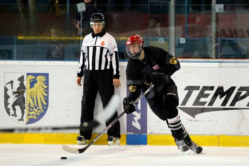Ice Hockey. Sparing. Polonia Bytom - Comarch Cracovia. 15.08.2017