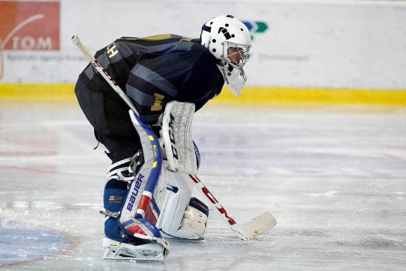Ice Hockey. Sparing. Polonia Bytom - Comarch Cracovia. 15.08.2017