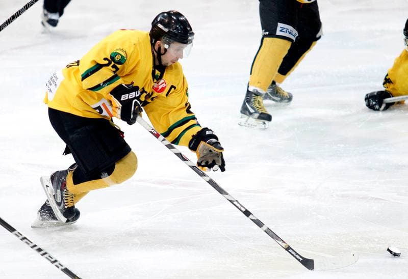 Ice Hockey. Tauron Hokej Liga. HC GKS Katowice - Polonia Bytom. 02.01.2015