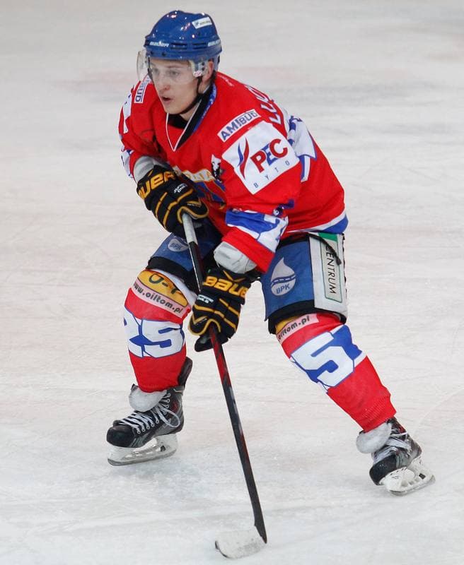 Ice Hockey. Tauron Hokej Liga. HC GKS Katowice - Polonia Bytom. 02.01.2015