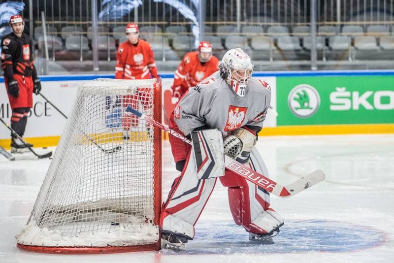 Ice Hockey. Poland national team. Training. 29.04.2022
