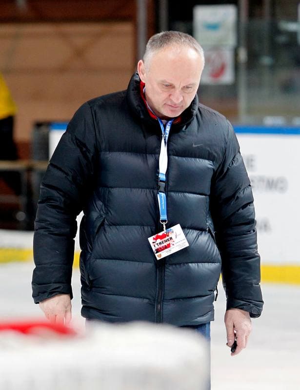 Ice Hockey. Tauron Hokej Liga. HC GKS Katowice - Polonia Bytom. 02.01.2015