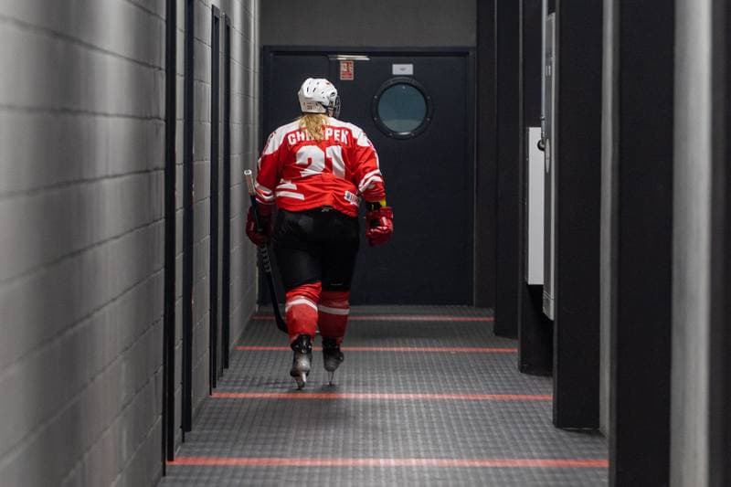 Ice Hockey. EWHL. Orlice Bytom - Hokiklub Budapest. 15.01.2023